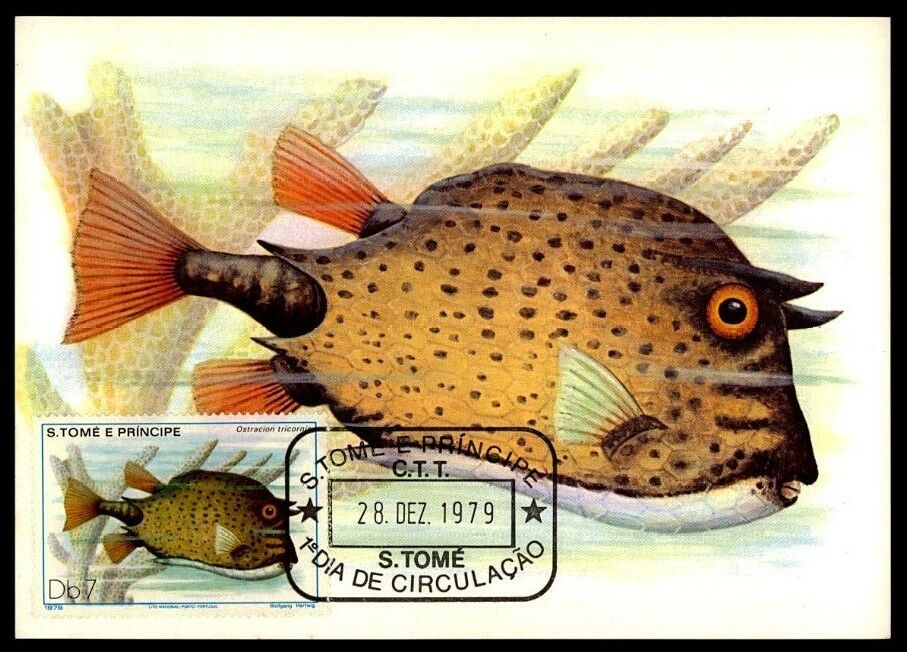 S.tome Mk 1979 Fish Fische Poissons Pesci Piscis Carte Maximum Card Mc Cm /m856